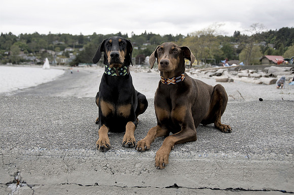 Hilde & Willa