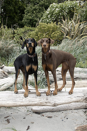 Hilde & Willa2