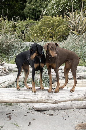 Hilde & Willa3
