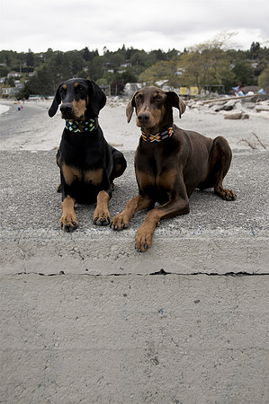 Hilde & Willa4
