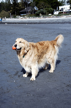 Ranoch2
