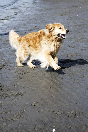 Ranoch3