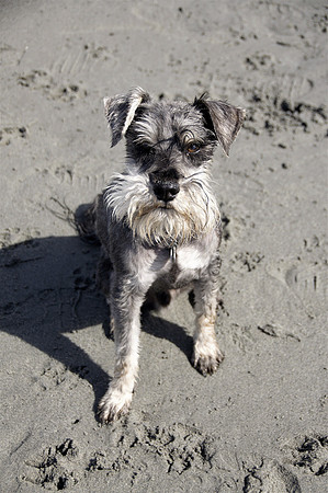 Walter1
