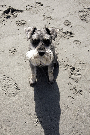 Walter2