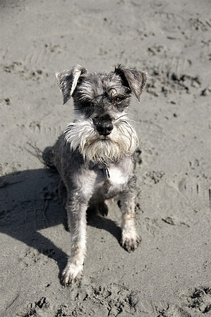 Walter3