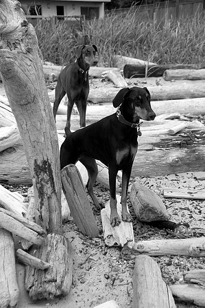 Hilde & Willa1bw