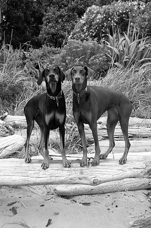 Hilde & Willa2bw