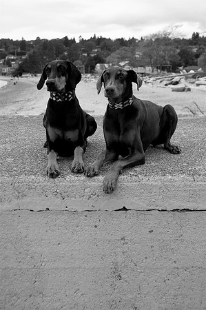Hilde & Willa4bw