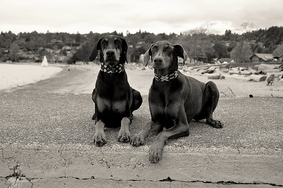 Hilde & Willabw