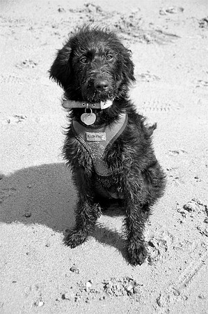 Izzy1bw