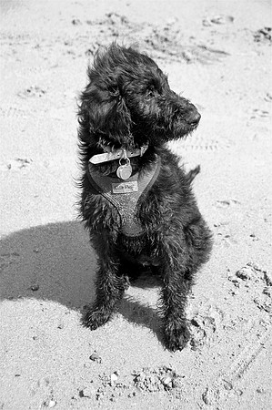 Izzy2bw