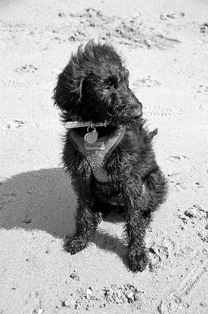 Izzy4bw