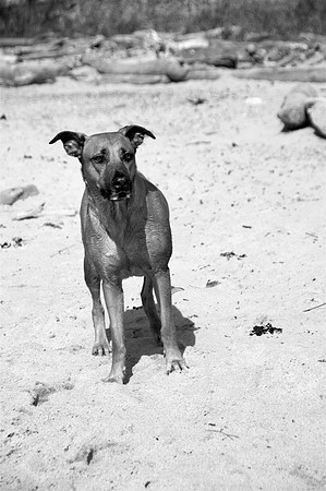 Nahla1bw