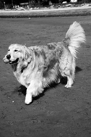 Ranoch1bw