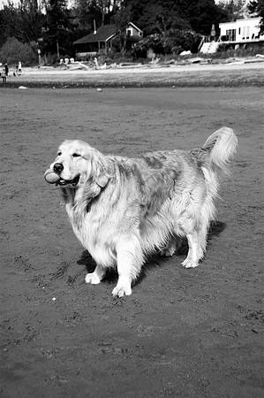 Ranoch2bw