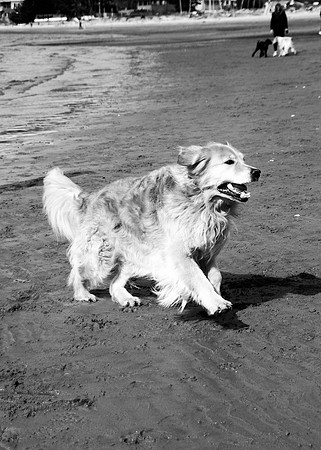 Ranoch3bw