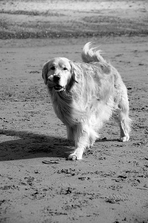 Ranoch4bw