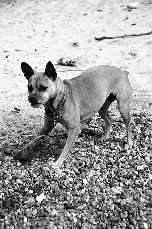 Ruby2bw