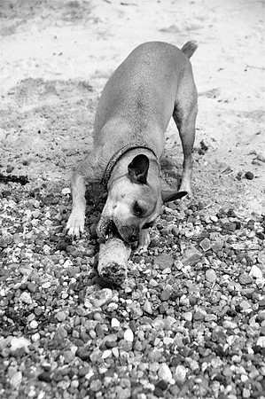 Ruby3bw