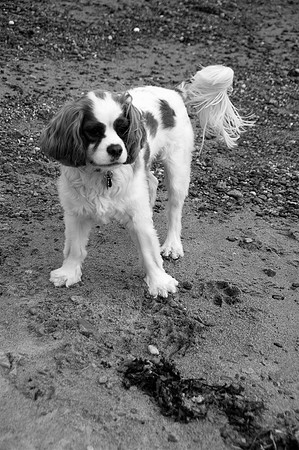 Sunny4bw