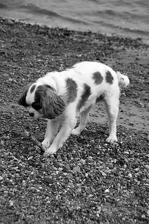 Sunny5bw