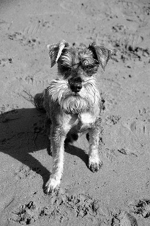 Walter1bw