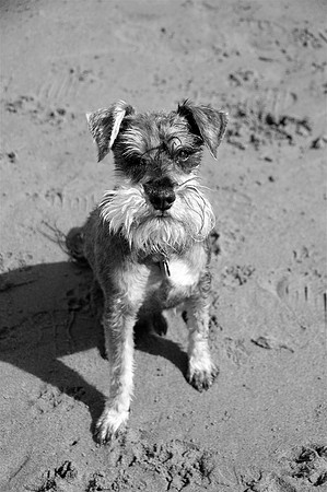 Walter3bw