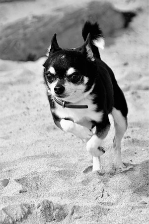 Lola1bw