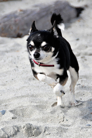 Lola1