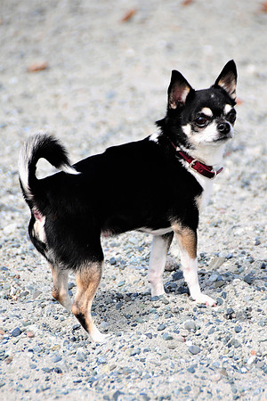 Lola2