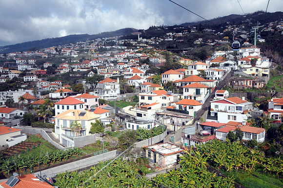 Funchal hillside