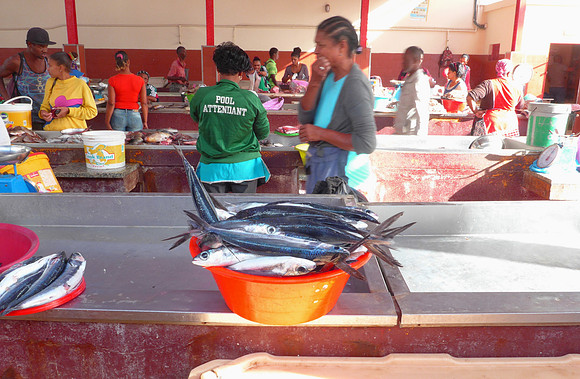 Fish market - fish is a major staple and trade item