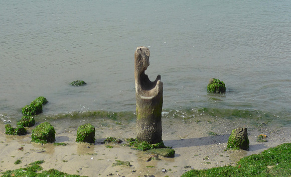Mooring post that also looked like a face to me
