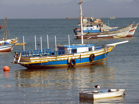 Local fishing boats