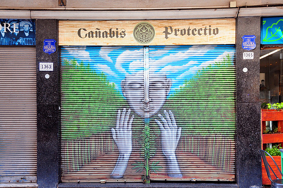 Cannibis shop
