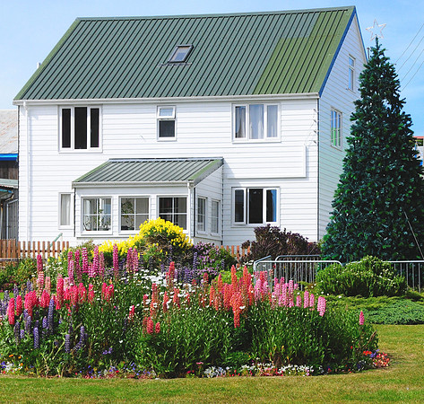Typical Falkland Island home