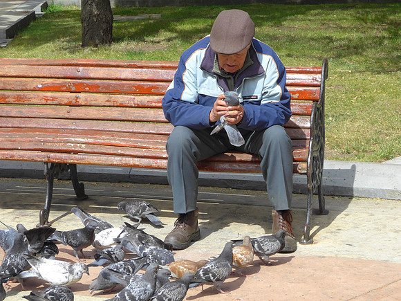 The Pidgeon Whisperer