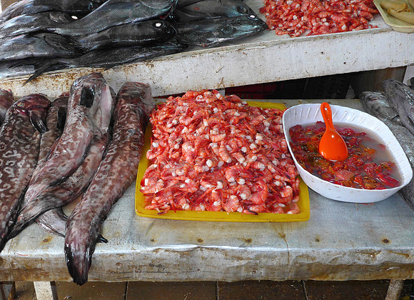 Fish market