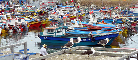 Fishing boats