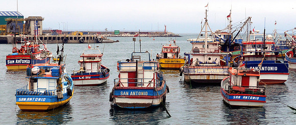 Fishing boats