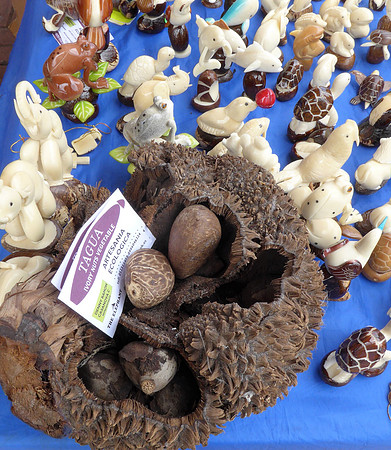 Tagua nuts and souvenirs carved from nuts