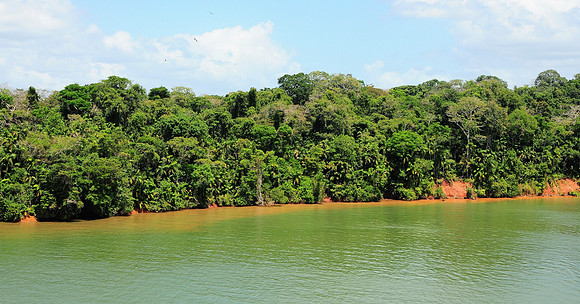 Lush rainforest around Gutan Lake