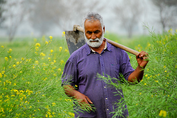 Harbans Singh Dosanj at his family farm