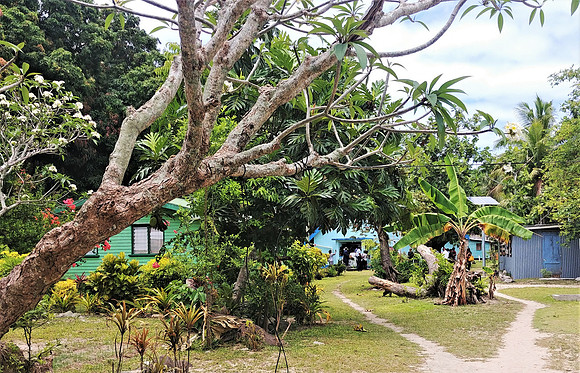 Dravuni island