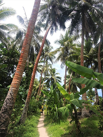 Path along Dravuni island