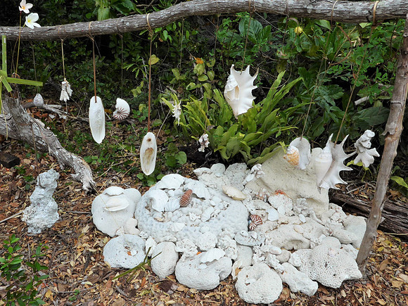 Collection of local shells in Easo, Lifou