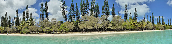 View of a beach on beautiful Ile de Pines ("Island of Pines"), New Caledonia