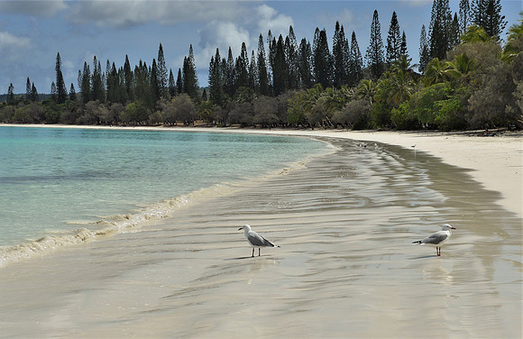 White sand and turquoise waters on Ile de Pines