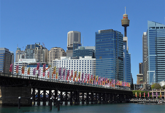 Pyrmont Street Bridge across Darling Harbour