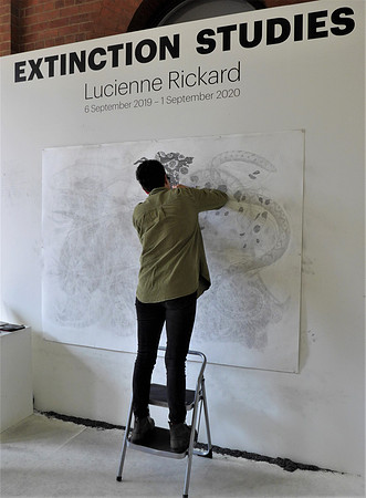 Lucienne Rickard and her "Extinction Studies" project (see next photo)